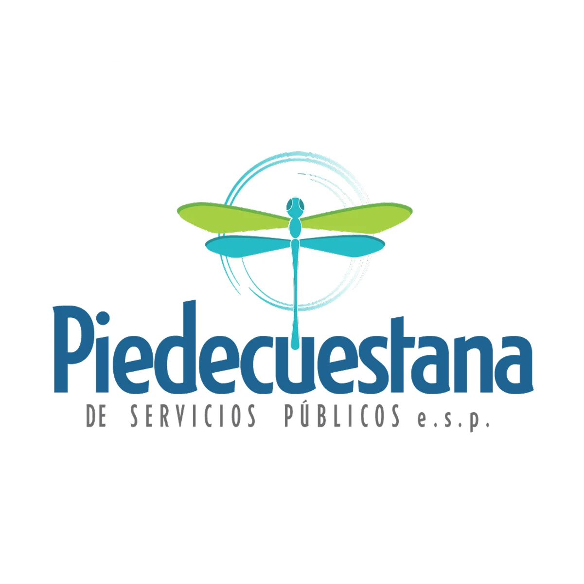 Acueducto Piedecuestana Servicios