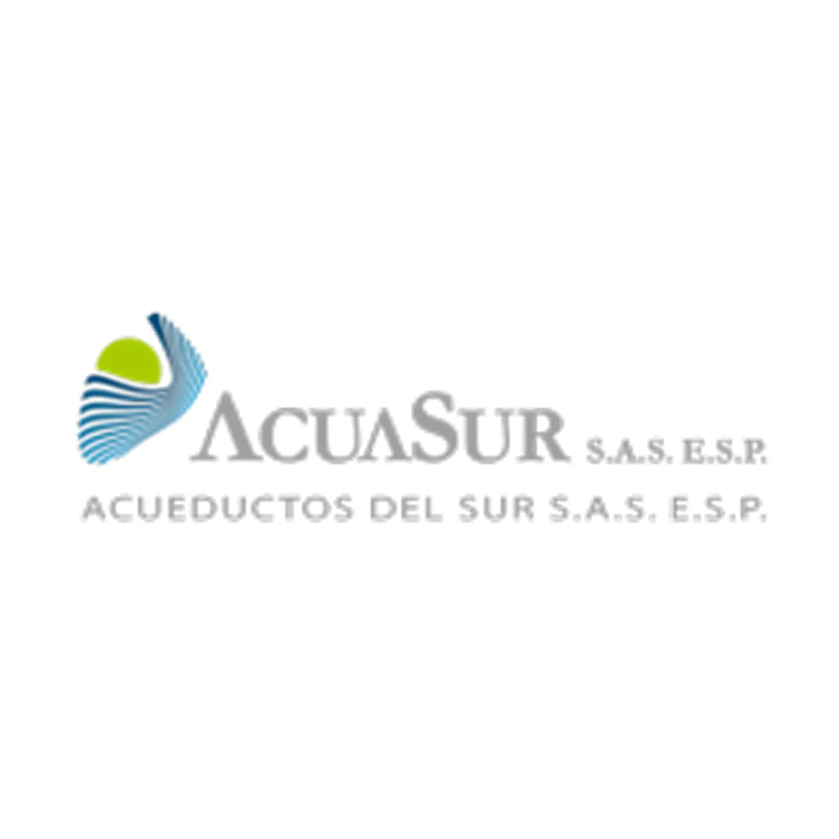 Acuasur Sa Esp