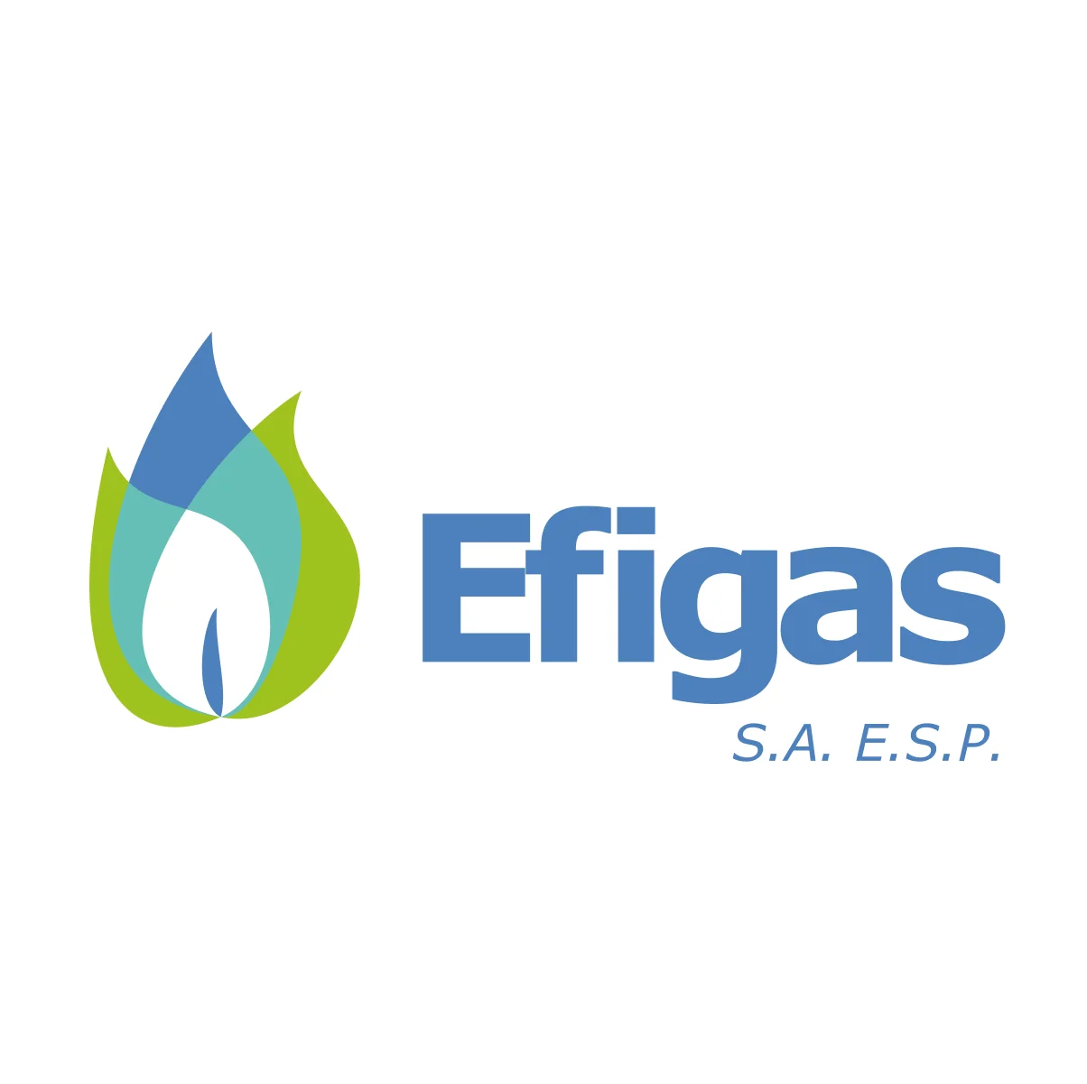 Efigas Gas Natural
