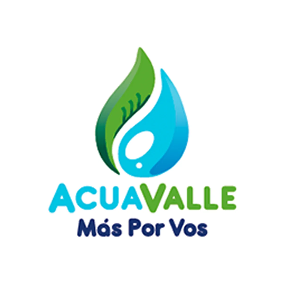Acueducto Acuavalle Sa Esp